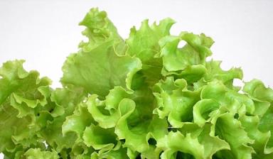保险险种最新解读